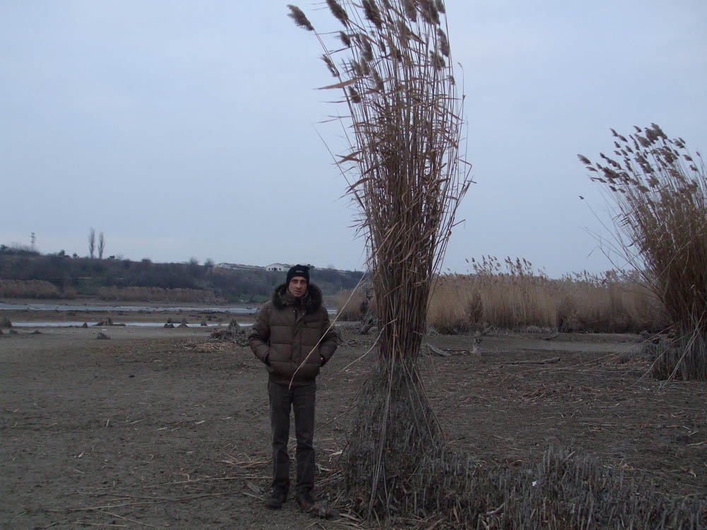 TANCABESTI SECAT - DSCF3455.jpg